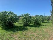 Vente Terrain 680 m2 Aubignan