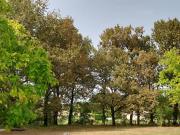 Vente Terrain 680 m2 Berson