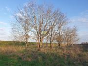 Vente Terrain 6863 m2 Jau Dignac et Loirac