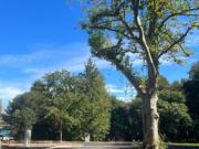 Vente Terrain 687 m2 Bassussarry