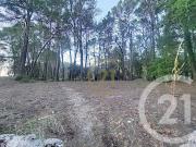 Vente Terrain 7000 m2 Callas
