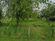 Vente Terrain 700 m2 Marseilles lès Aubigny