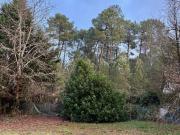 Vente Terrain 700 m2 Martillac