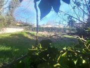 Vente Terrain 700 m2 Montfavet