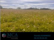 Vente Terrain 700 m2 Saint Genès de Lombaud