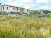 Vente Terrain 701 m2 Montanay