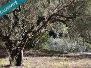 Vente Terrain 702 m2 Pignans