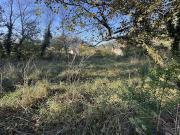 Vente Terrain 704 m2 Buis les Baronnies