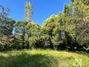 Vente Terrain 705 m2 Viviers