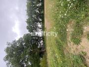 Vente Terrain 706 m2 Le Cellier