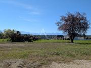Vente Terrain 710 m2 Idron