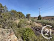 Vente Terrain 7120 m2 Salses le Château