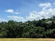 Vente Terrain 716 m2 Sainte Clotilde