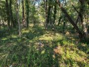 Vente Terrain 717 m2 Trans en Provence