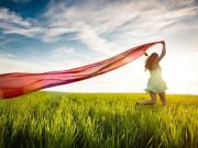 Vente Terrain 720 m2 Beaufay