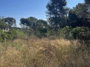 Vente Terrain 720 m2 Cabries