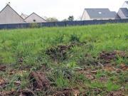Vente Terrain 724 m2 Sainte Reine de Bretagne