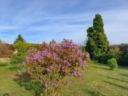 Vente Terrain 727 m2 Pernes les Fontaines