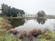 Vente Terrain 7305 m2 Avrille les ponceaux