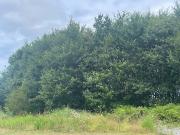Vente Terrain 732 m2 Labenne Vente Terrain 732 m2 Labenne