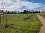 Vente Terrain 735 m2 Val de la Haye