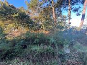 Vente Terrain 736 m2 Capbreton