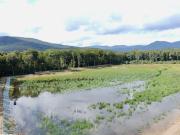 Vente Terrain 73858 m2 Leval