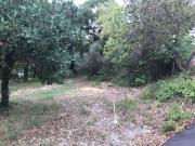 Vente Terrain 740 m2 Balaruc les Bains