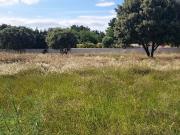 Vente Terrain 740 m2 Montfavet