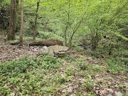 Vente Terrain 7430 m2 Saint Paul sur Isère