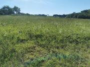 Vente Terrain 747 m2 Beaumont sur leze