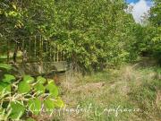 Vente Terrain 7522 m2 Vigneulles lès Hattonchâtel
