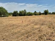Vente Terrain 754 m2 Brie