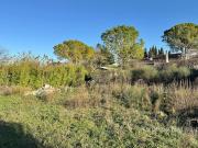 Vente Terrain 763 m2 L'Isle sur la Sorgue