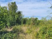 Vente Terrain 772 m2 Angles sur l'Anglin