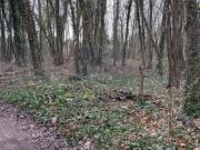 Vente Terrain 775 m2 Bois le Roi