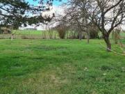 Vente Terrain 780 m2 Bourgueil
