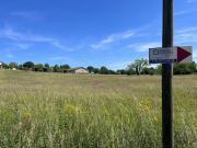Vente Terrain 780 m2 Roquesérière