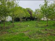 Vente Terrain 784 m2 Port des Barques