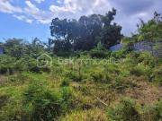 Vente Terrain 784 m2 Saint Philippe