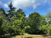 Vente Terrain 791 m2 Pernay