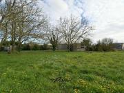 Vente Terrain 799 m2 Chemellier