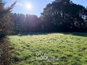 Vente Terrain 800 m2 Saint Lyphard
