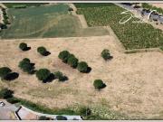 Vente Terrain 803 m2 Alignan du Vent