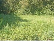 Vente Terrain 804 m2 Villeneuve en Retz