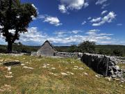 Vente Terrain 80524 m2 Saint Chels