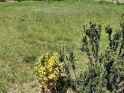 Vente Terrain 812 m2 Sainte marie la mer
