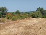 Vente Terrain 839 m2 Frejus