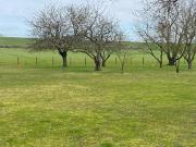 Vente Terrain 850 m2 Chalonnes sur Loire