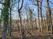 Vente Terrain 850 m2 Fontenay sur Loing